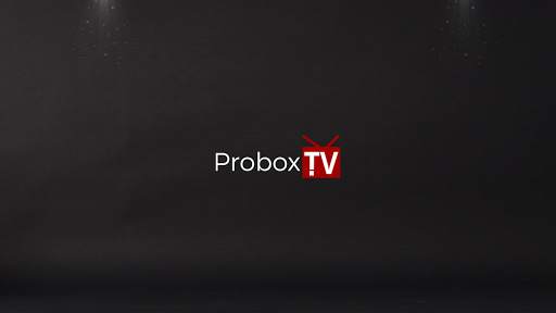 Probox TV screenshot 4