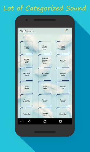 Bird Sounds & Bird Calls screenshot 4