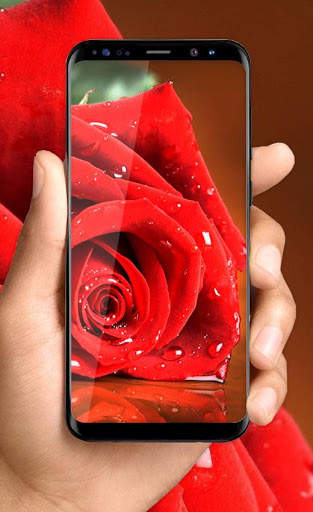 Rose Live Wallpaper 2018: HD Flower Backgrounds screenshot 1
