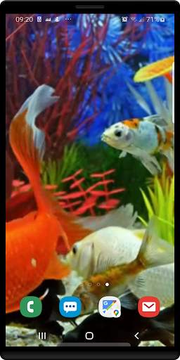 Aquarium Live Wallpaper screenshot 2