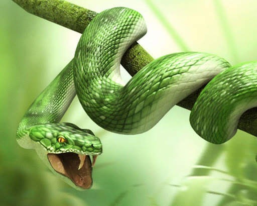 Snake Wallpaper screenshot 1
