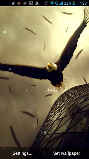 Eagle Live Wallpaper screenshot 4