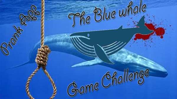 Blue whale Challenge Game Prank screenshot 1
