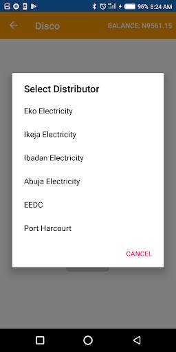 Daypayz Mobile screenshot 5