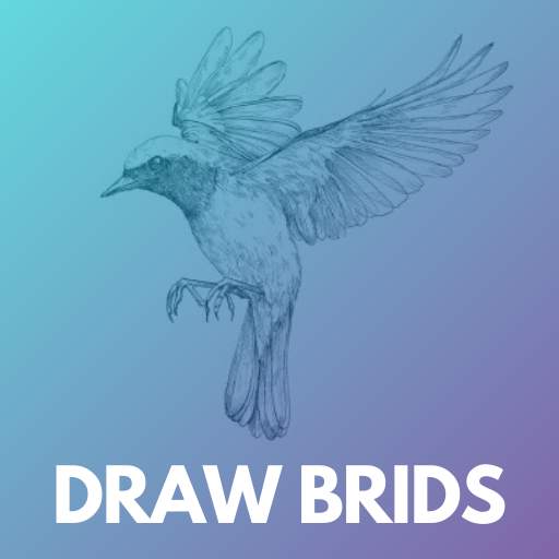 How to draw birds step by step easily 5.0