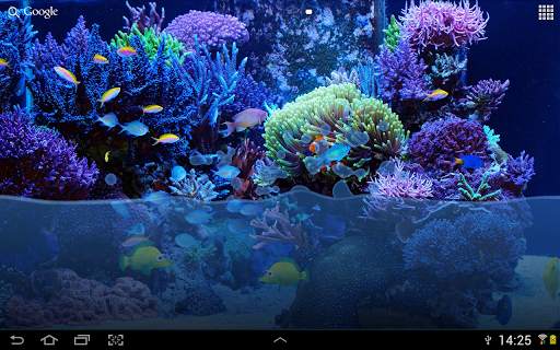 Fish Tank Live Wallpaper screenshot 8