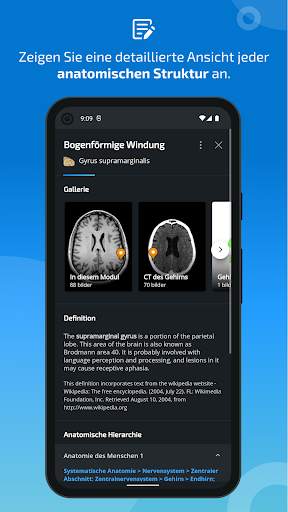 e-Anatomy screenshot 5