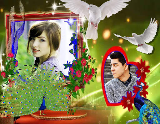 Love Birds Photo Frame screenshot 4