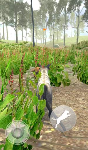 Talking Blue Siamese Cat screenshot 9