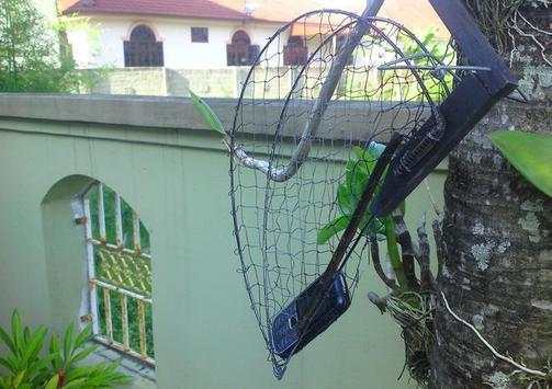 bird trap screenshot 2