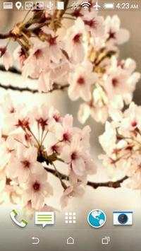 Sakura Live Video Wallpaper screenshot 5