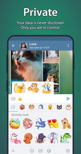 Freegram | Ad-Free | Auto-Proxy screenshot 3