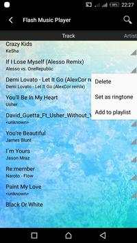 Flash Music Player screenshot 2