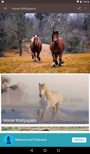 Beautiful Horse Wallpapers 2 تصوير الشاشة