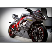 Motor Bike Fight N Stunts icon