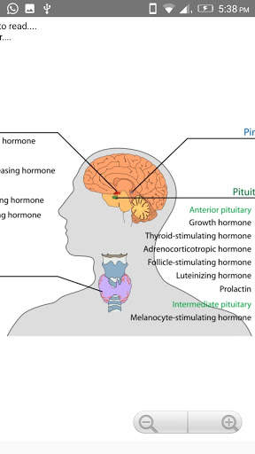Human Anatomy: Body Parts Guide screenshot 6
