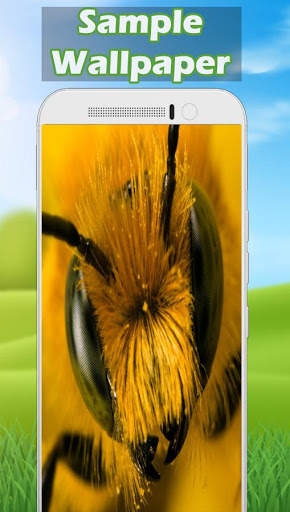 Bee Wallpaper HD 🐝 screenshot 3