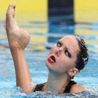 Funny Pictures 6