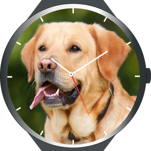Dogs Watch Faces icon