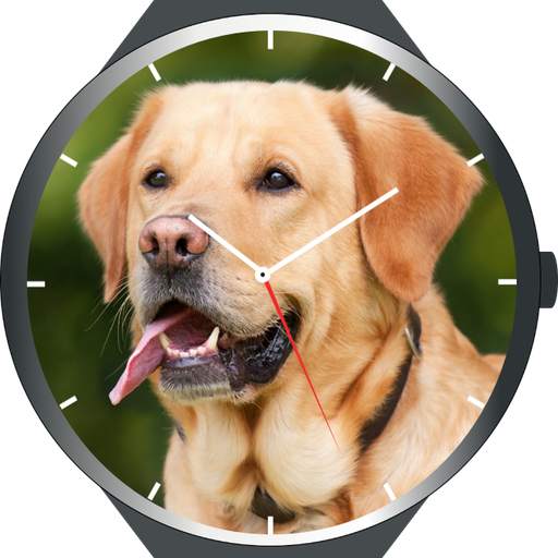Dogs Watch Faces 2.0