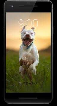 Pitbull Dog HD Lock Screen screenshot 7