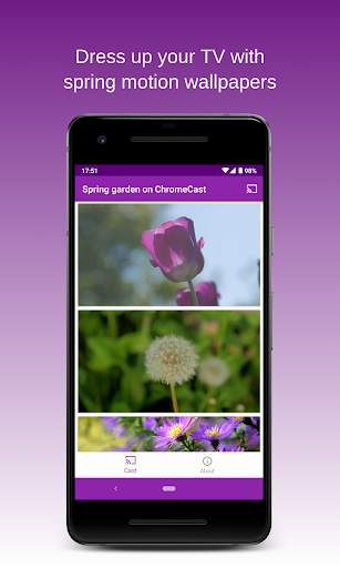 Spring Garden on Chromecast🌷Live wallpapers on TV screenshot 4