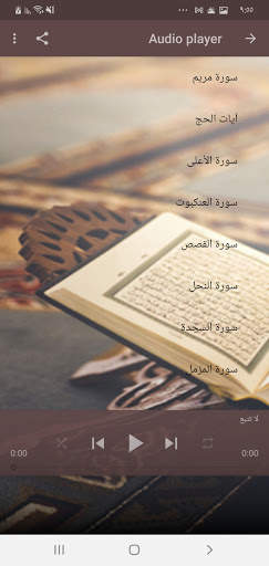 عبد الرحمن مسعد - القرآن الكريم بدون نت 2 تصوير الشاشة