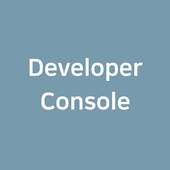 Developer Console 1.0.0
