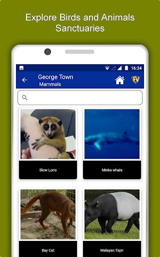 George Town Travel & Explore,  screenshot 13