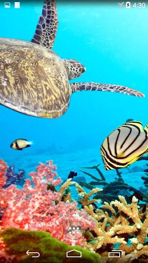 Turtle 4K Live Wallpaper screenshot 2