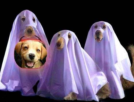 Fotomontajes de Halloween screenshot 5