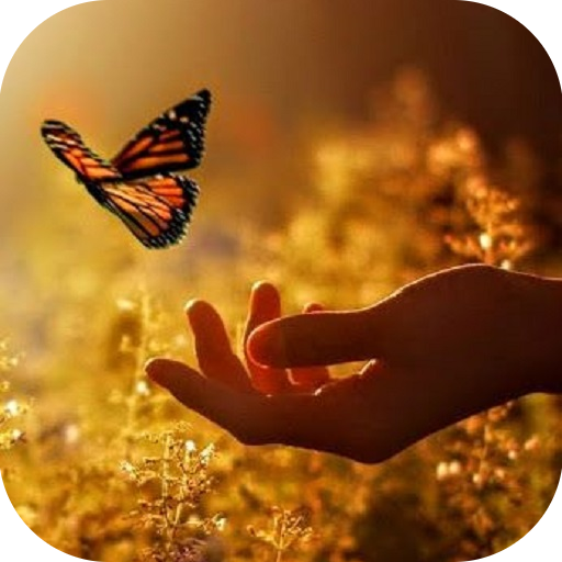 Life Quotes icon