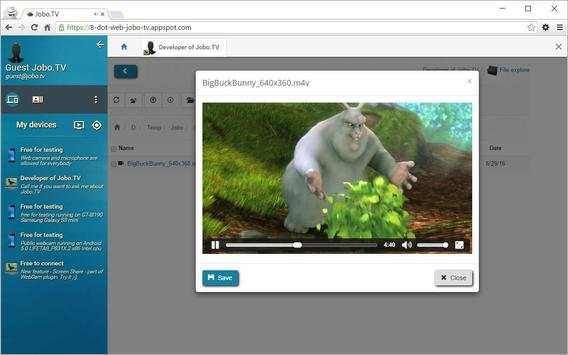 Security web camera screenshot 13
