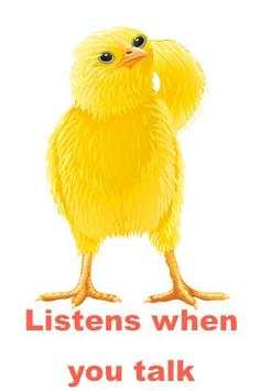Talking Chicken screenshot 1