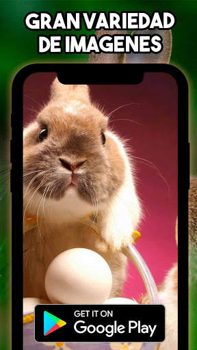 🐰 Conejos Fondos de Pantalla 🐰 - Lindos Conejos screenshot 3
