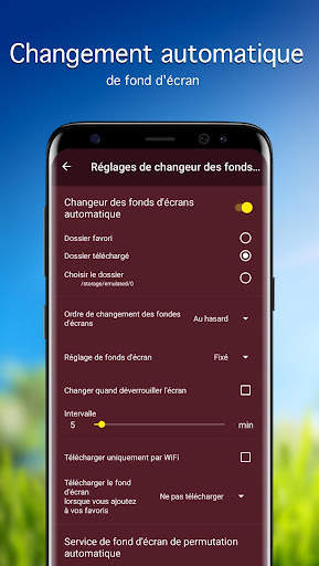 Tulipes Fonds d'écran 4K screenshot 4