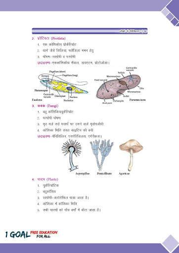 Class 9th Science Term-2 Hindi Medium screenshot 8