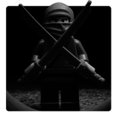 Toy Puzzle Ninja icon