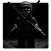 Toy Puzzle Ninja 1.0.1