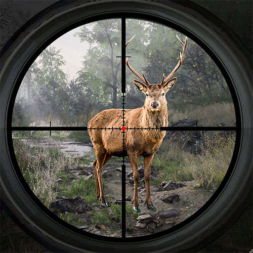 Animal Hunting Clash: Deadly Shooting Simulator 1.1