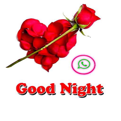 Good Evening sticker Night SweetDream for WhatsApp screenshot 1