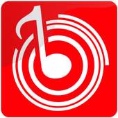 Guide For Wynk Music - Songs, MP3, HelloTune Tips 1.0