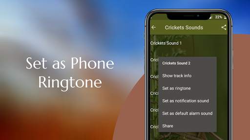 Crickets Sounds screenshot 3