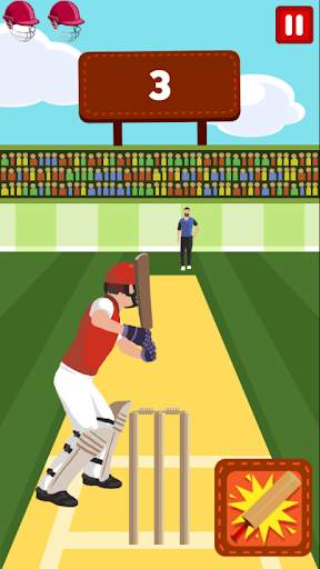 Pro Cricket Champion screenshot 4