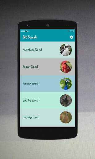 Bird Sounds screenshot 1