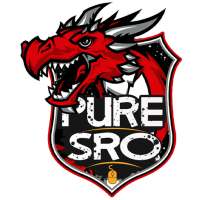 PureSRO - Private SRO Server icon