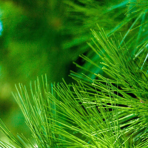 HD Vivo X20 Wallpaper screenshot 13