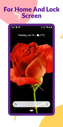 Video Wallpapers screenshot 3