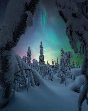 Aurora Northern Lights Wallpapers screenshot 8