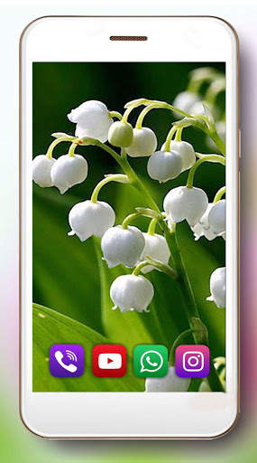 Spring Flowers Live Wallpaper screenshot 1
